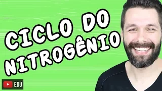 CICLO DO NITROGÊNIO - CICLOS BIOGEOQUÍMICOS | Biologia com Samuel Cunha