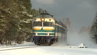 Двухвагонный дизель-поезд ДР1А-232/242 / 2-car DMU DR1A-232/242