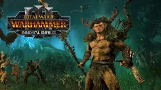 Essential Wood Elf Campaign Units, Army Guide - Total War: Warhammer 3: Immortal Empires