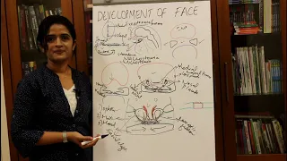 DEVELOPMENT OF THE FACE-HUMAN EMBRYOLOGY-DR ROSE JOSE MD NDB MNAMS