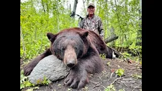 Manitoba Archery Black Bear Hunt 2023