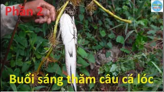 1101 | Chuyến cắm câu đêm dính cá lóc khủng P2