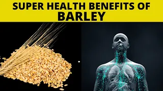 ✅Top 10 Amazing Health Benefits of Barley - This Happens To Your Body When You Eat Barley Every Day.