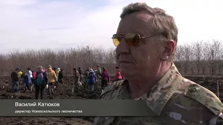 Новооскольцы  приняли  участие во  Всероссийском экологическом субботнике "Зеленая весна - 2018"