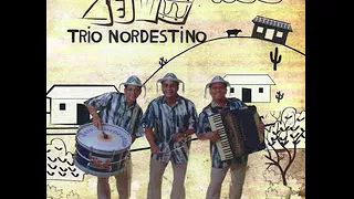 Trio Nordestino Grandes Sucessos ( Áudio CD )