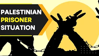 Explained | How many Palestinian prisoners are being held by Israel? | WION Originals