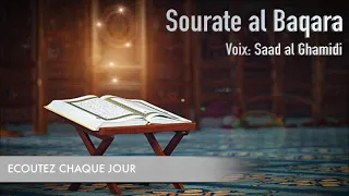 la meilleure protection sourate el baqara ( contre le mal, pour les enfants et la maison )