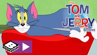 Tom și Jerry | Pisica din umbră | Cartoonito