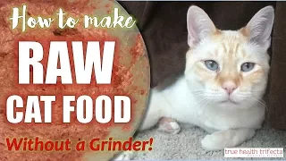 How to make Raw Cat Food WITHOUT a Grinder! (RECIPE) - Homemade Cat Food / Cat Lady Fitness