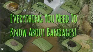 Everything You Need To Know About Bandages! | Green Hell