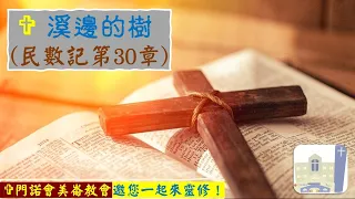 溪邊的樹～民數記第30章