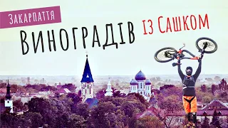 Виноградів - місто доброго ранку. В гостях у "веломаньяка" Сашка | Подорож по Закарпаттю (№182)