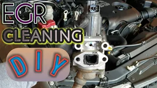 EGR Cleaning [Montero Sports] | Do-it-Yourself EGR Cleaning Diesel System