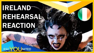IRELAND REACTION: First Rehearsal - Bambie Thug "Doomsday Blue" - Eurovision 2024