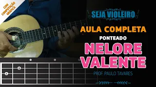 NELORE VALENTE PONTEADO [AULA COMPLETA]