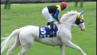 ソダシ 返し馬 G1ヴィクトリアマイル 東京競馬場 2022/05/15 Horse racing in Japan Japanese racehorse Sodashi 吉田隼人