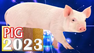 Pig Horoscope 2023 |✩| Born 2019, 2007, 1995, 1983, 1971, 1959, 1947, 1935