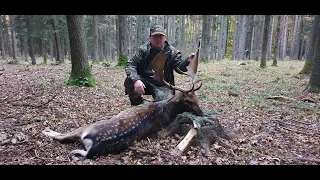 Sudecka Ostoja 43/2020. Polowanie na daniele. Bekowisko cz 2. Hunting in Poland fallow-deer