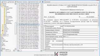 Просмотр выписок из ЕГРП, полученные с сайта Росрееста (в формате xml)