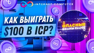 Путеводитель по Internet Computer - Технологии, криптовалюта ICP и способ выиграть $100