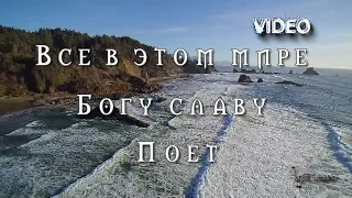 С Добрым утром Все в этом мире Богу славу поет Новая христианская песня