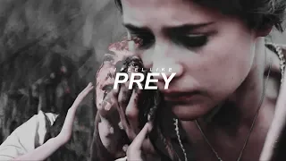 • Marlene & Sirius [I feel like prey]