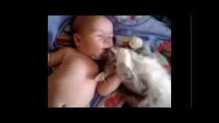Коту нравится спать с малышом