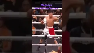 highlights punch of magsayo #shorts #bigpunch #boxing  #markmagsayo #reyvargas