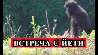 Страшная История -  Встреча с йети