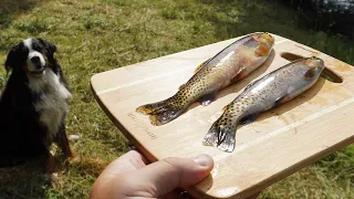 RZR Adventure to CRYSTAL Clear Creek LOADED with CUTTHROAT TROUT Catch and Cook FAIL