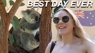 We visited the BEST Zoo in Australia 🦘🐊 Exploring Brisbane Australia 🇦🇺