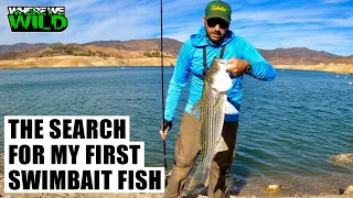 THE SEARCH FOR MY FIRST SWIMBAIT FISH - Castaic Lake Fishing