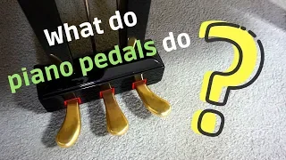 What Do Piano Pedals Do?