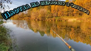 Рыбалка у дома на поплавок!Первые заморозки!