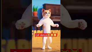 ||patli kamariya more  hai 😍😻 #catdance #short #viralshorts  #trending #ytshorts