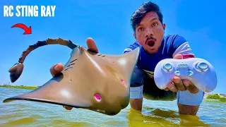 RC Biggest Water Animals Collection Ever Unboxing & Testing - Chatpat toy tv