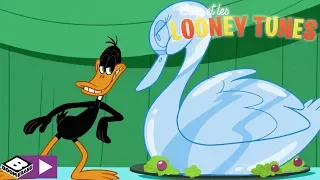 Daffy et le cygne | Bugs et les Looney Tunes | Boomerang