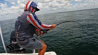 Fishing for Tampa Bay Giants!  - HEAVY Rods Required
