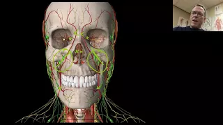 Facial Lymph For Headaches and Jaw Pain