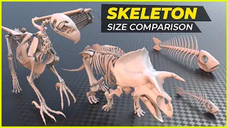 Animal Monster Skeleton size Comparison || Biggest skeletons || Size comparison