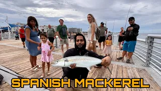 CATCHING MONSTER SPANISH MACKEREL AT POMPANO PIER FT. RAJ THE IGUANA MAN !! *FISHING IN FLORIDA*