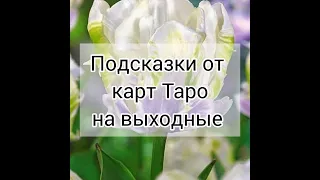 Подсказки от карт Таро на выходные с 9 по 12 мая #radamax_taro #таропрогноз #тарорасклад #таро