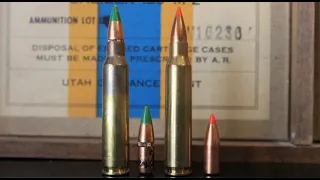 .223 vs 5.56 NATO: What You Know May Be Wrong