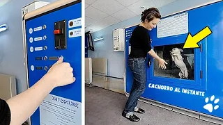 20 Strangest Vending Machines Around the World