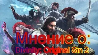 Мнение О: Divinity: Original Sin II