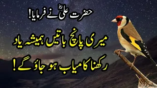 Meri 5 Batien Hamisha Yaad Rakhna Kamyab Hu Jaogy | hazrat ali ra nai farmaya | Mera Awaz