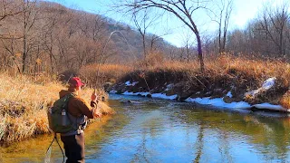 FLY FISHING WISCONSIN | DRIFTLESS REGION TROUT FISHING | Finding wild trout in a brand new creek |