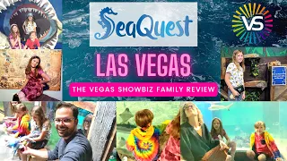 SeaQuest Las Vegas Family Review 2022