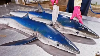 驚人的鯊魚切割技巧, 鯊魚炒芹菜 ,麻油鯊魚/佳濱成功旗魚/Amazing Shark Cutting Skills, Shark Recipe Preparation and Cooking