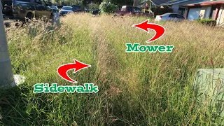 Mowing Overgrown Lawn for Disabled Elders for FREE ~ Satisfying result | Saving Elders from scammers